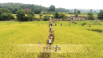 สารคดีพุทธศาสนศรัทธา ตอนทอดกฐิน