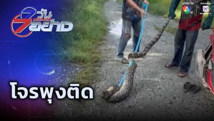 7 วัน 7 อย่าง : โจรพุงติด