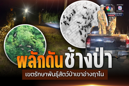 เขตรักษาพันธุ์สัตว์ป่าเขาอ่างฤาไน ลงพื้นที่ผลักดันช้างป่าเฝ้าระวังสถานการณ์ช้างป่าต่อเนื่อง