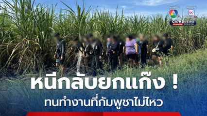 รวบ 13 คนไทยกลางไร่อ้อยชายแดนสระแก้ว ลักลอบเข้าไทย เพื่อหนีตายจากการทำงานเว็บพนันออนไลน์ ที่ ปอยเปต 