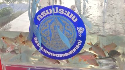 ผู้แทนพระองค์ พระเจ้าวรวงศ์เธอ พระองค์เจ้าสิริภาจุฑาภรณ์ ไปในการบำเพ็ญพระกุศล เนื่องในโอกาสวันคล้ายวันประสูติ 8 ตุลาคม 2568