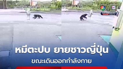 คุณยายชาวญี่ปุ่น อายุ 82 ปี ถูกหมีตะปบขณะเดินออกกำลังกาย