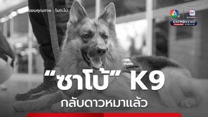 ซาโบ้ K9 ขวัญใจผู้ใช้รถไฟฟ้า กลับดาวหมาแล้ว ขอบคุณที่สร้างรอยยิ้มและความสุขให้ทุกคน