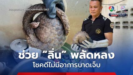 ช่วย “ลิ่น” พลัดหลง โชคดีไม่มีอาการบาดเจ็บ