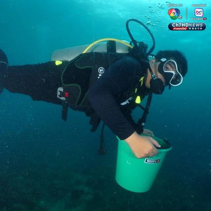 ปลูกปะการัง 193 กิ่ง  ฟื้นฟูทรัพยากรทางทะเล