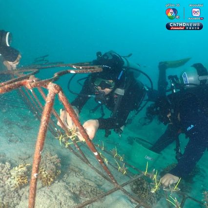 ปลูกปะการัง 193 กิ่ง  ฟื้นฟูทรัพยากรทางทะเล