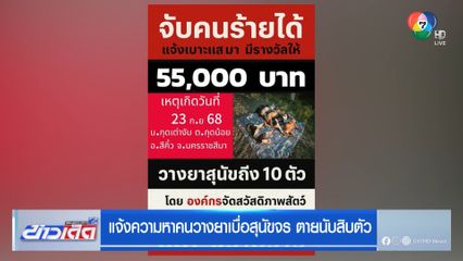 แจ้งความหาคนวางยาเบื่อสุนัขจร ตายนับสิบตัว