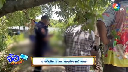 นายจ้างช็อก ! มดตะนอยต่อยลูกจ้างตาย