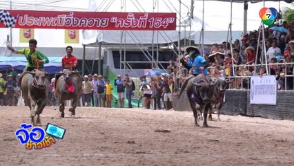 สุดมัน ! ประเพณีวิ่งควาย ครั้งที่ 154