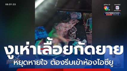 งูเห่า เลื้อยกัดยาย 93 ปี จ.เพชรบูรณ์