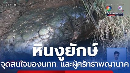 แห่ชมความงดงาม หินงูยักษ์ แน่นขนัด