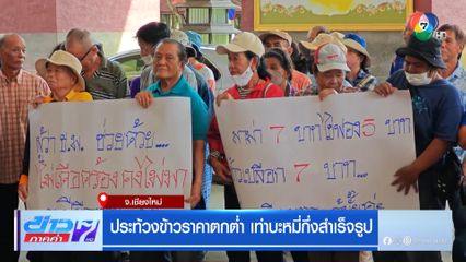 ประท้วงข้าวราคาตกต่ำ เท่าบะหมี่กึ่งสำเร็จรูป จ.เชียงใหม่