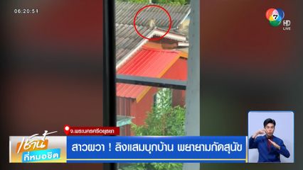 สาวผวา ! ลิงแสมบุกบ้าน พยายามกัดสุนัข