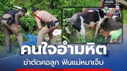 คนใจอำมหิต ฆ่าตัดคอลูกสุนัขจรจัดตาย 2 ตัว ฟันขาแม่สุนัขเจ็บ