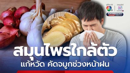 หมอเจดโพสต์แนะสมุนไพรใกล้ตัว แก้หวัด คัดจมูกช่วงหน้าฝน