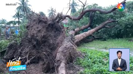 พายุถล่มโค่นต้นไม้ทับบ้าน-ทับกุฏิ