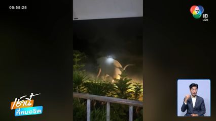 ช้างป่าดุไล่ทำร้ายเจ้าหน้าที่