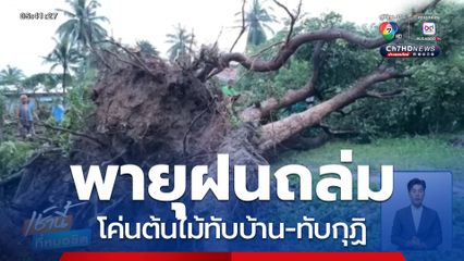 พายุถล่มโค่นต้นไม้ทับบ้าน-ทับกุฏิ