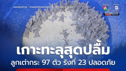 เกาะทะลุสุดปลื้ม ลูกเต่ากระ 97 ตัว รังที่ 23 ปลอดภัย อัตราการรอด 74% ตอกย้ำความมุ่งมั่น อุทยานแห่งชาติอ่าวสยาม