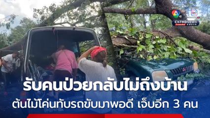 รับคนป่วยออกจาก รพ. กลับไม่ถึงบ้าน ฝนตกลมกระโชกแรง พัดต้นไม้โค่นทับรถ เจ็บอีก 3 คน