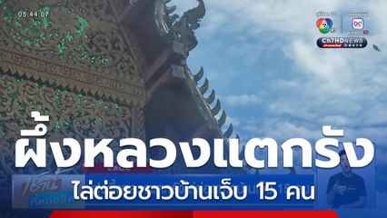 ฝูงผึ้งหลวงแตกรังไล่ต่อยชาวบ้านเจ็บ 15 คน