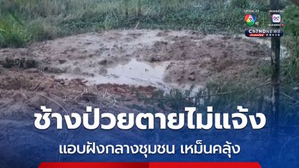 บุรีรัมย์ปศุสัตว์รุดตรวจสอบช้างป่วยตายไม่แจ้ง แอบฝังกลางชุมชนใกล้สถานที่ราชการ ส่งกลิ่นเหม็นคลุ้งทั้งหวั่นเชื้อโรค