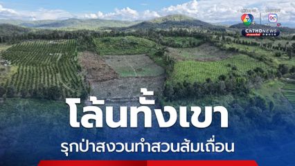 จับแรงงานต่างด้าว รับจ้างเฝ้าสวนส้ม พบบุกรุกป่าสงวนป่าขุนแม่ลาย 21 ไร่ มีนายทุนอยู่เบื้องหลัง 