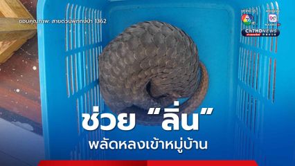 ช่วย “ลิ่น” พลัดหลงเข้าหมู่บ้าน นำมาดูแล ก่อนปล่อยคืนสู่ธรรมชาติ