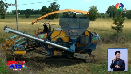 เจ้าของรถเกี่ยวผวาทุ่นระเบิด ไม่รับงาน แม้ค่าเกี่ยวข้าวชายแดนพุ่งไร่ละ 1,500 บาท