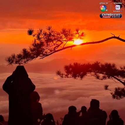"ผานกแอ่น" จุดชมพระอาทิตย์ขึ้นสุดประทับใจบนอุทยานแห่งชาติภูกระดึง