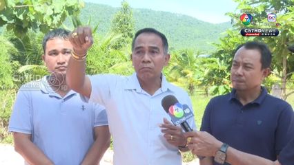 196 วัน ชัยชนะ “คนสมุย” ทวงคืน “อากาศสะอาด” จากฟาร์มไก่