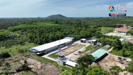 196 วัน ชัยชนะ “คนสมุย” ทวงคืน “อากาศสะอาด” จากฟาร์มไก่