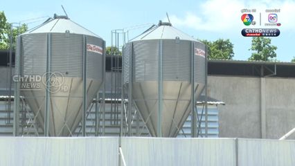 196 วัน ชัยชนะ “คนสมุย” ทวงคืน “อากาศสะอาด” จากฟาร์มไก่