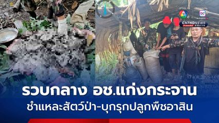 รวบ 2 ผู้ต้องหา บุกรุกปลูกพืชอาสิน-ชำแหละสัตว์ป่า กลาง อุทยานแห่งชาติแก่งกระจาน