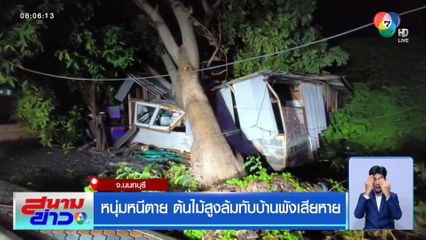 หนุ่มหนีตาย ต้นไม้สูงล้มทับบ้านพังเสียหาย