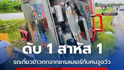 ดับ 1 สาหัส 1 รถเกี่ยวข้าวตกจากเทรลเลอร์ทับคนจูงวัว