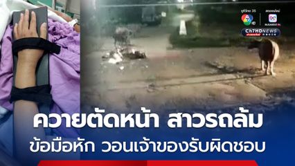 สาวขี่รถ จยย.กลับบ้านชนควาย ข้อมือหัก รถพัง วอนเจ้าของควายรับผิดชอบ