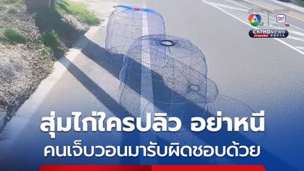 หนุ่มขี่รถ จยย.มากับเพื่อน สุ่มไก่ท้ายรถกระบะปลิวมาโดน ทำให้รถ จยย.เสียหลัก บาดเจ็บ เพื่อนที่ซ้อนท้ายมาสาหัส