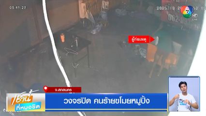 วงจรปิด คนร้ายขโมยหมูปิ้ง