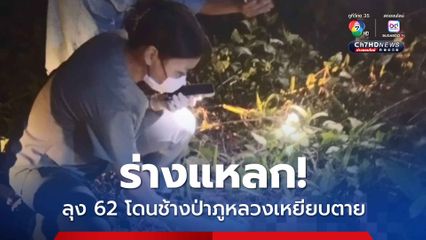 ร่างแหลก ลุง 62 โดนช้างป่าภูหลวงเหยียบตาย