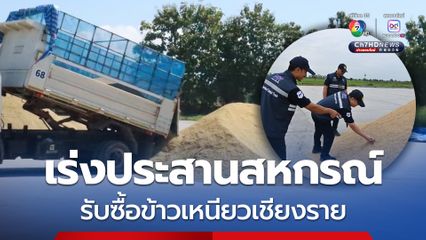 พาณิชย์ เร่งประสานสหกรณ์รับซื้อข้าวเหนียวเชียงรายต่อเนื่อง