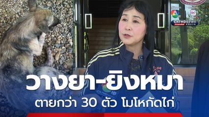 เดอะโฮปสงขลา ร้องต้นสังกัดตรวจสอบ ดาบตำรวจ วางยา-ยิงหมา ตายกว่า 30 ตัว โมโหกัดไก่ที่เลี้ยงไว้ 