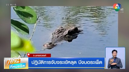 ปฏิบัติการจับจระเข้หลุด บึงบอระเพ็ด
