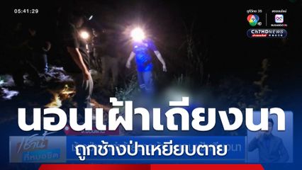 ช้างป่าบุกทำร้ายชาวบ้าน นอนเฝ้าเถียงนา