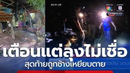 ช้างป่าบุกทำร้ายชาวบ้าน นอนเฝ้าเถียงนา