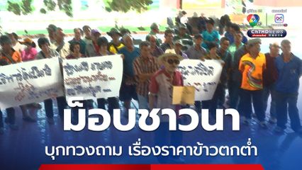 ม็อบชาวนาบุกศาลากลาง จ.เชียงใหม่ ทวงถามมาตรการช่วยเหลือ หลังราคาข้าวร่วงหนักเหลือเหลือกิโลละละ 6.60 บาท