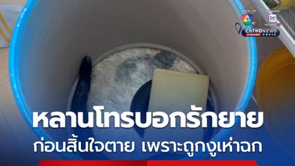 หลานชายโทรบอกรักยาย ก่อนสิ้นใจตาย เพราะถูกงูเห่าฉก