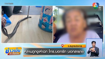 หลานถูกงูเห่าฉก โทร.บอกรัก บอกลายาย