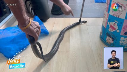 หนุ่มถูกงูฉก โทร.บอกรักยาย ก่อนสิ้นใจ จ.สมุทรปราการ