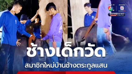 สมาชิกใหม่บ้านช้างตระกูลแสน พระครูอ๊อดแจ้งข่าวดี แม่พังมีนาตกลูก
